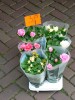 fiore5