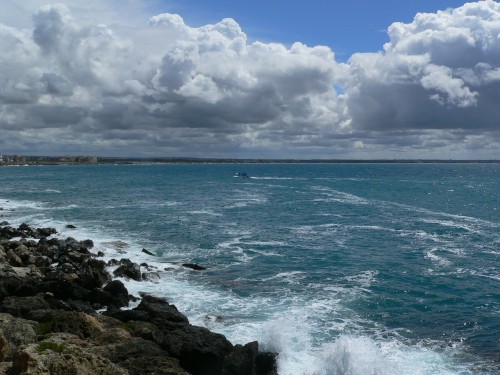 mare