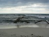 mare2