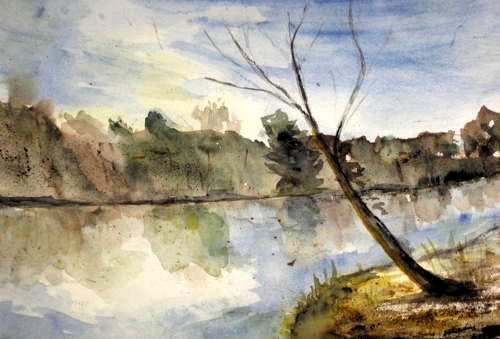 l'albero sulla riva
