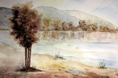 l'albero sulla riva del lago