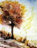 l'albero solitario