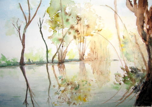 i riflessi