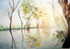 i riflessi