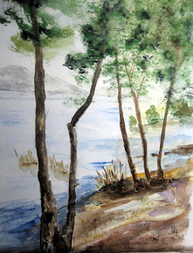 paesaggio del lago maggiore